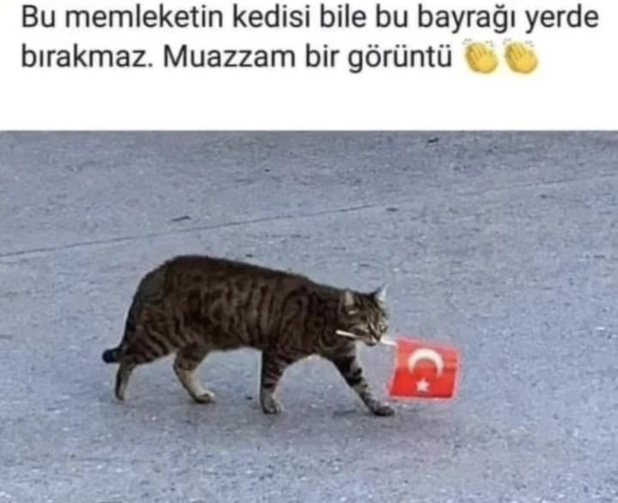 İntizamperver (@ofhry) on Twitter photo 