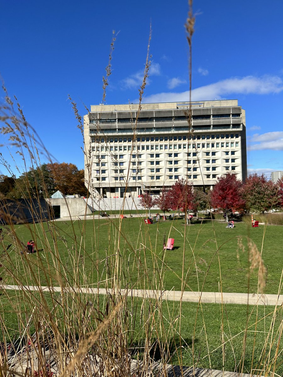 ‼️Economic Historians of the world, the UMass Economics Department is hiring! Ph.D. in History, Economics or related fields are all welcome. ‼️ careers.umass.edu/amherst/en-us/…