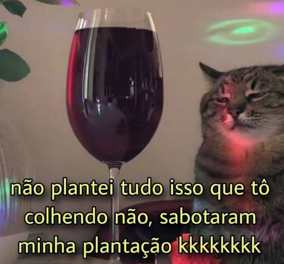 Trouxinha (@euovitinn) on Twitter photo 