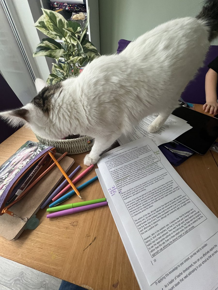 MathsDirectory's tweet photo. NPQ reading helper - cheers buddy https://t.co/990aooaSPO