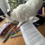 Photo by Maths Directory (@MathsDirectory)