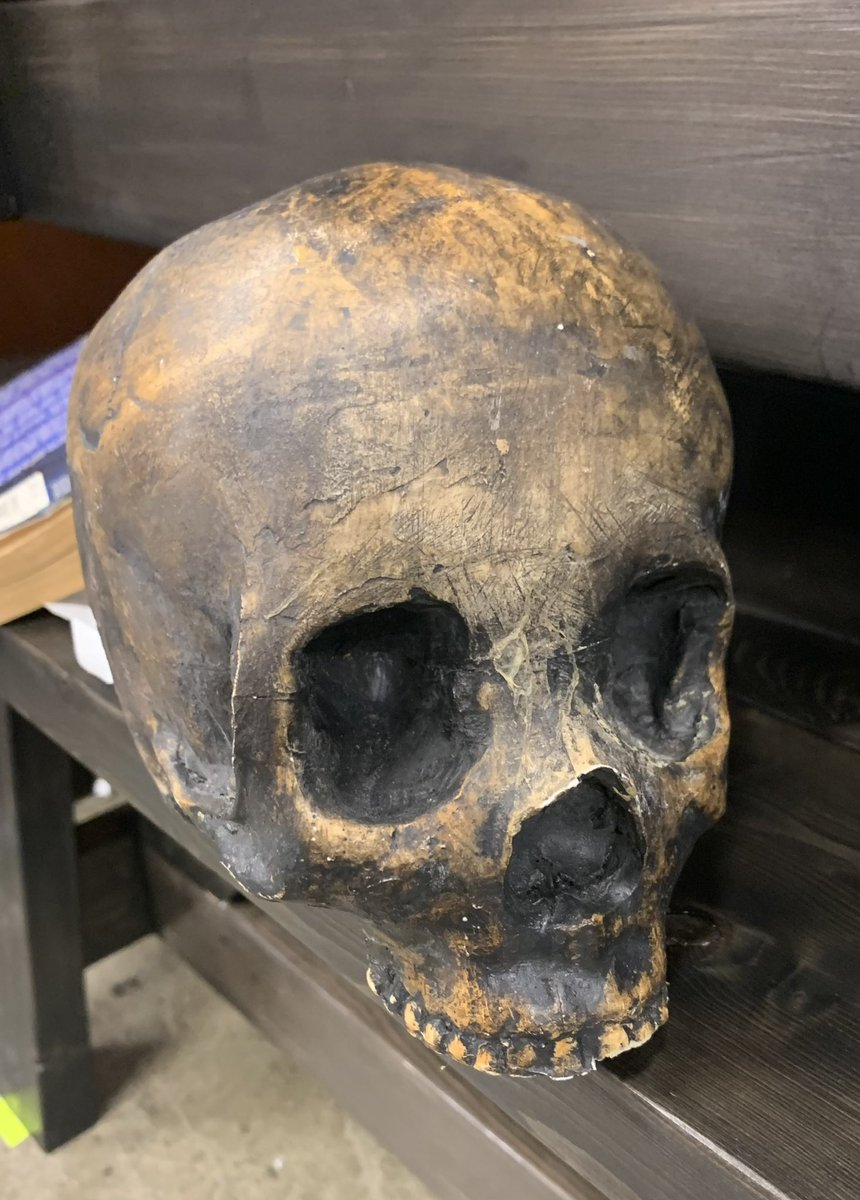 Jilian_Tolzmann's tweet photo. Some skulls I’ve been auditioning for my next project… 💀

#DatingAdviceWithBabaYaga #DAWBY #AdviceWithBaba #Skulls #Spooky #Skeleton #Bones #MovieProps #Prop #Witch https://t.co/AaZ1xt8UnI