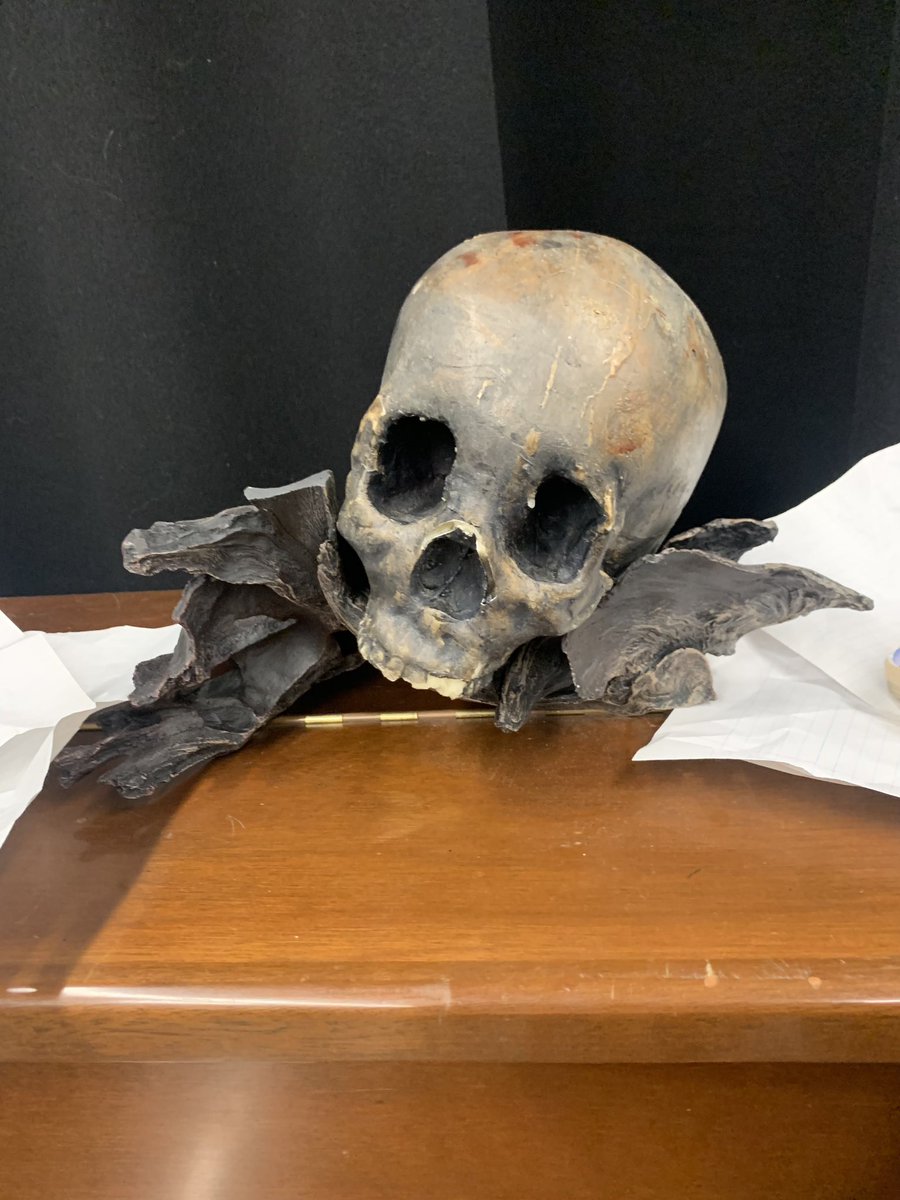 Jilian_Tolzmann's tweet photo. Some skulls I’ve been auditioning for my next project… 💀

#DatingAdviceWithBabaYaga #DAWBY #AdviceWithBaba #Skulls #Spooky #Skeleton #Bones #MovieProps #Prop #Witch https://t.co/AaZ1xt8UnI