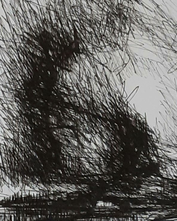 ArtyNewts's tweet image. Penwork drawing. The freedom of mark making that can lead to abstraction. #abstractart #abstraction #contemporarycomposition #contemporaryart #pen #pendrawing #devonlandscape #devonartist