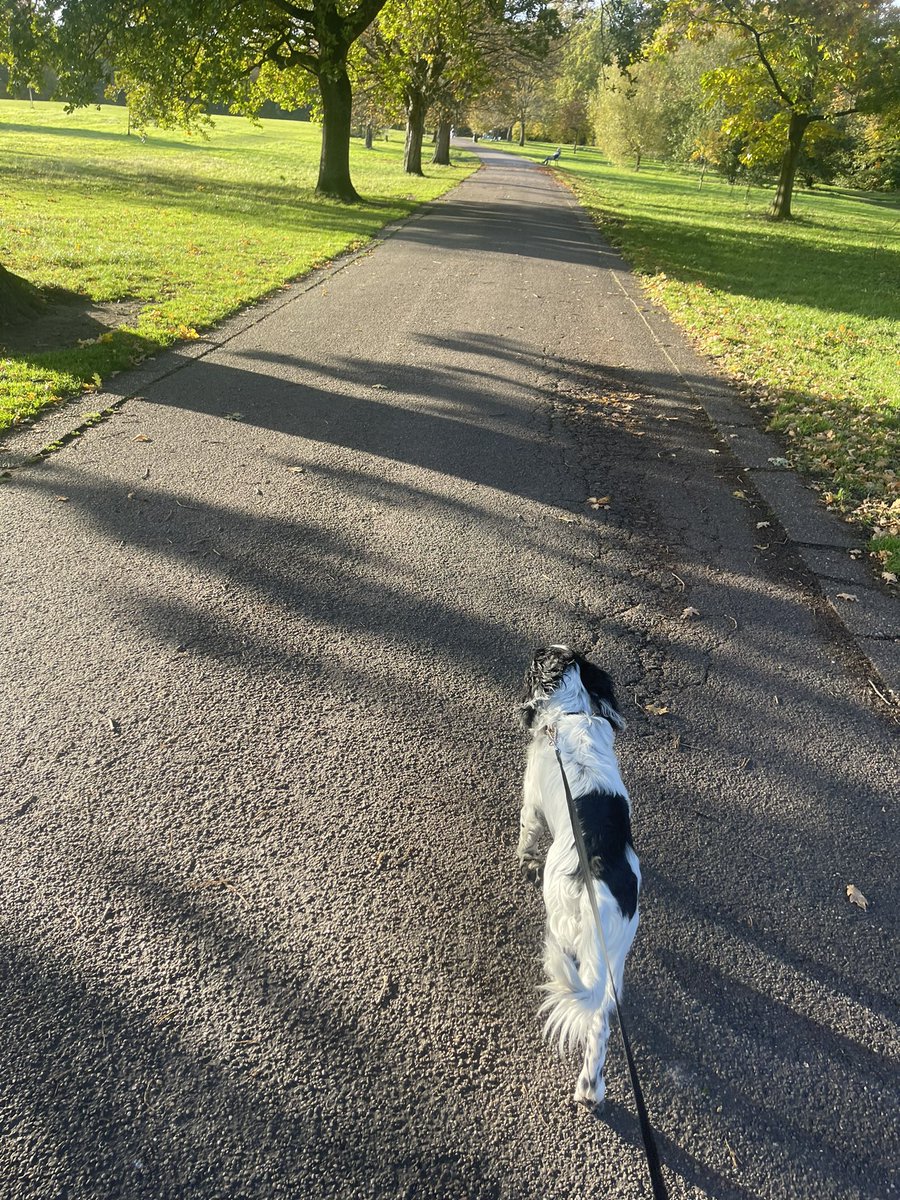 CMA_SEND's tweet photo. Enjoying the last bit of the half term and the sunshine too. Look forward to seeing everyone tomorrow and catching up with all that you have done this past week. #TheCMAWay #wearebrightfutures https://t.co/dyJjo2QcV0