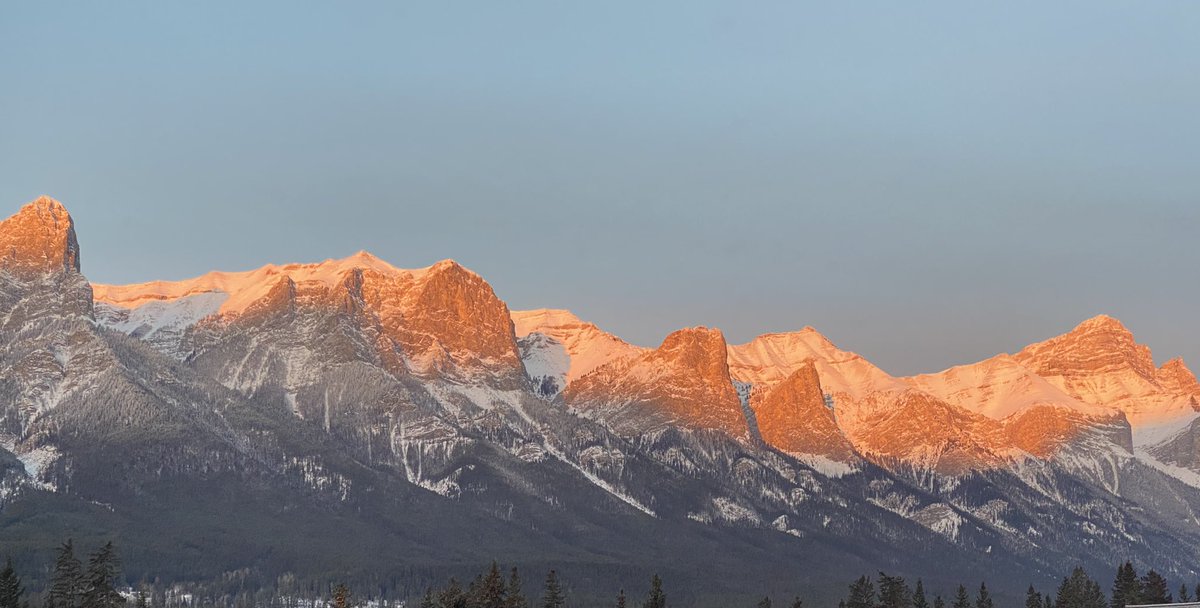 Carol Tonhauser tweet media