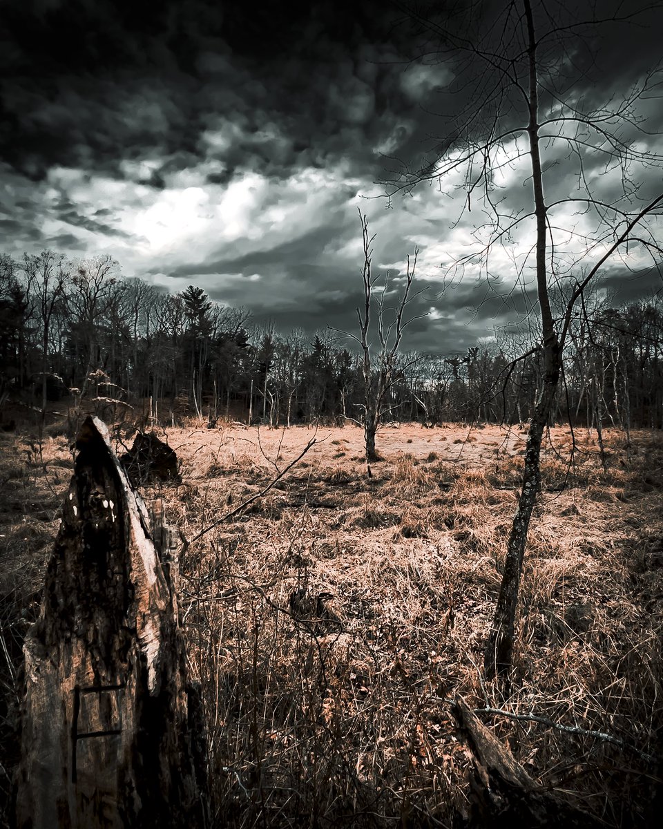 CliffordLuck3's tweet photo. Part 1 of flooding your feed with spooky woods for halloween weekend 👻 #spooky #halloween2023 #woods #darkfantasy  #darkedit #moody https://t.co/H6wXUXgg3n