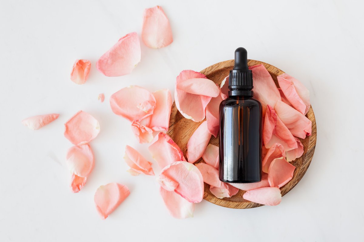 Mandelbaum51544's tweet photo. Anti-Authoritarian. Technocracy WILL destroy humanity. https://t.co/tLt5RbryOU