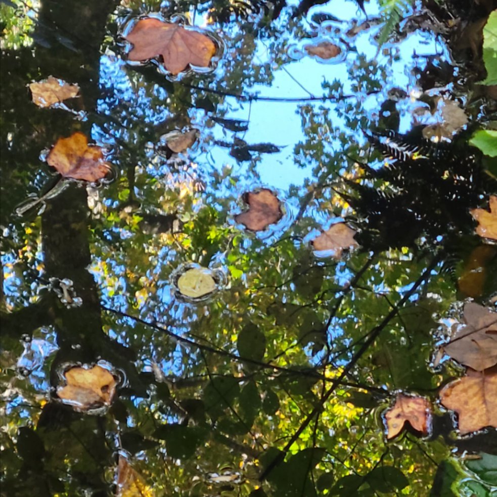 N_a_n_c_yBrown's tweet image. Thank you for your purchase from Queens, lovely river pic choice. #waterscape #WaterReflections