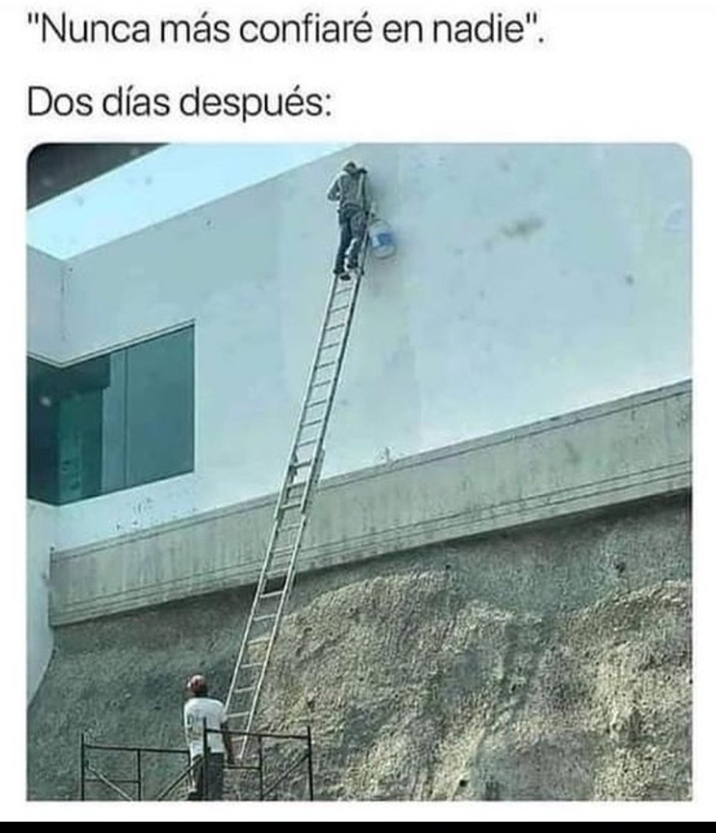 Buen día ,c uando dices "no confiaré en nadie", pero al final te das cuenta de que necesitas un poco de apoyo... literalmente 😂. ¡La confianza es la clave! #SuelePasar. ¡Feliz domingo no olvides confiar un poco más hoy!. 😆🪜🤝🌞 #FelizDomingo