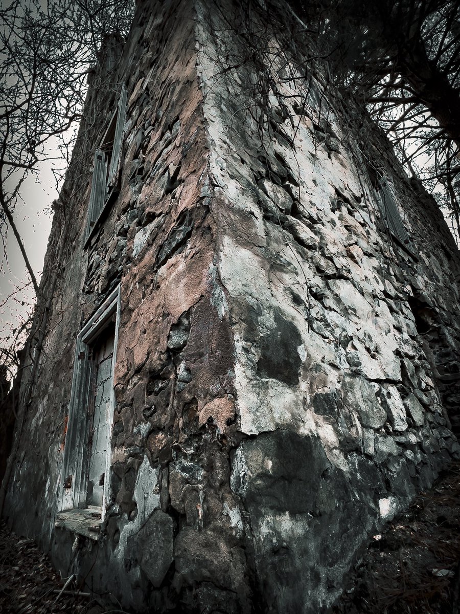 CliffordLuck3's tweet photo. #spooky #halloween2023 #woods #darkfantasy  #darkedit #moody https://t.co/FTnQC9SBZu