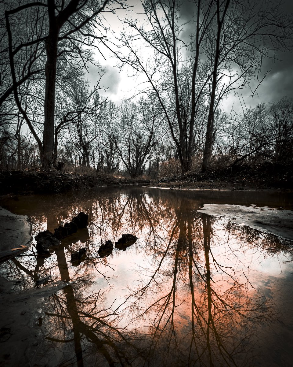 CliffordLuck3's tweet photo. Last one!!! 👻 🎃 😝 #spooky #halloween2023 #woods #darkfantasy  #darkedit #moody https://t.co/jNNP6IFVfZ