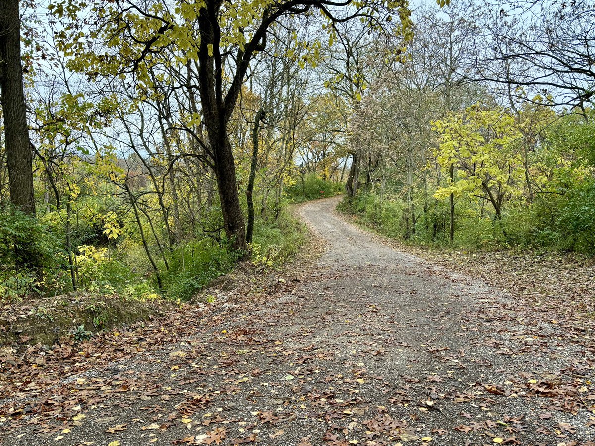 MurphyMCHS's tweet photo. Once in a while I slow down enough on my weekend runs to appreciate just how stunning my local trails are. #blessed
#OnlyCaughtOneLeaf https://t.co/RY3JmprlrI