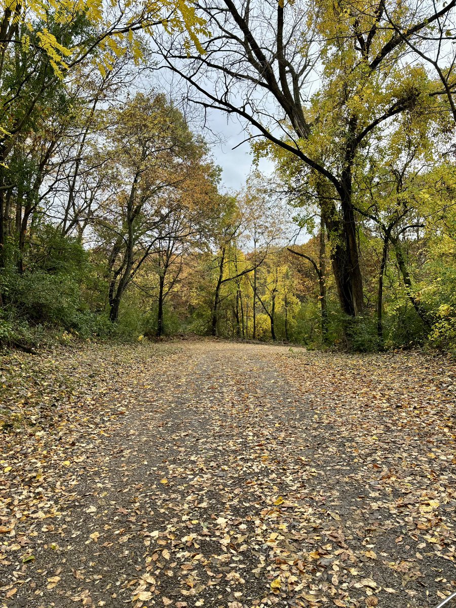 MurphyMCHS's tweet photo. Once in a while I slow down enough on my weekend runs to appreciate just how stunning my local trails are. #blessed
#OnlyCaughtOneLeaf https://t.co/RY3JmprlrI