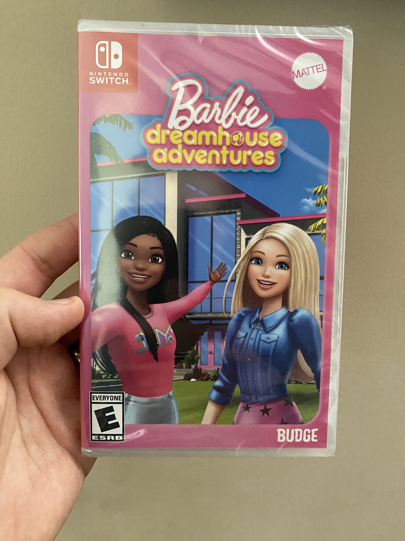 Barbie: Dreamhouse Adventures, Jogo Nintendo Switch