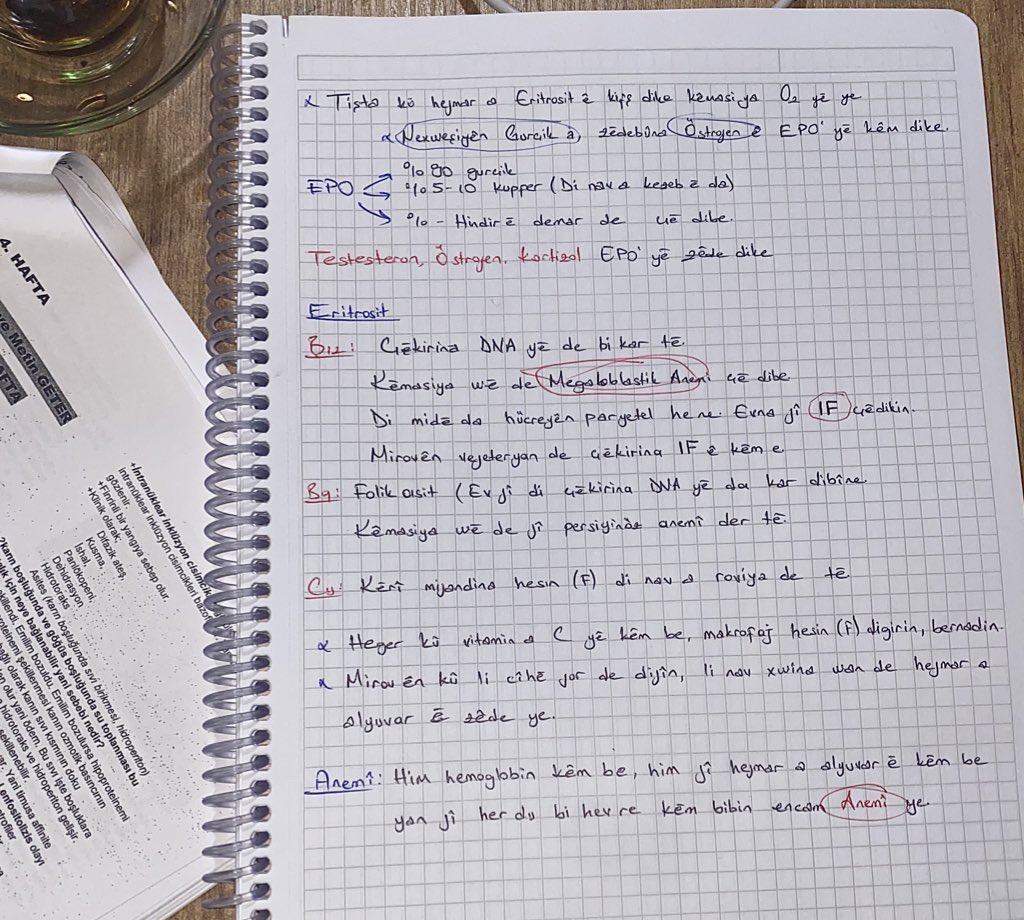 Kimse benden not istemesin diye Kürtçe tutmaya başladım işe yarıyor