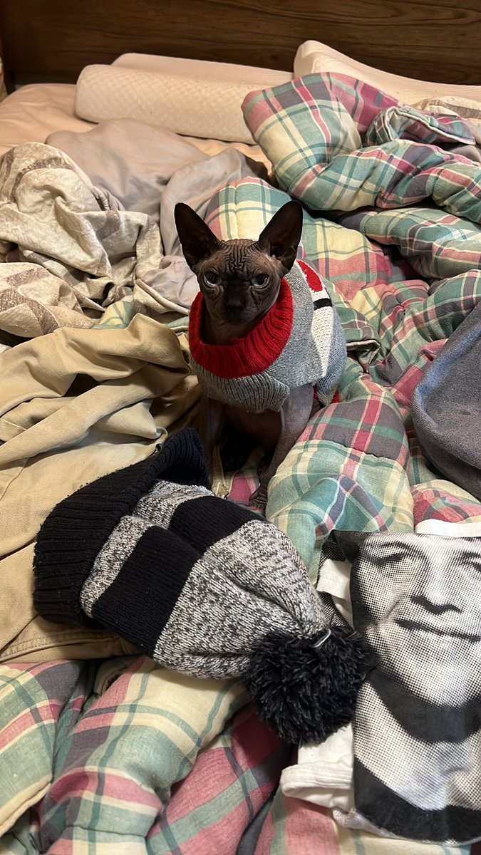 I appreciate the laundry folding help 🥹