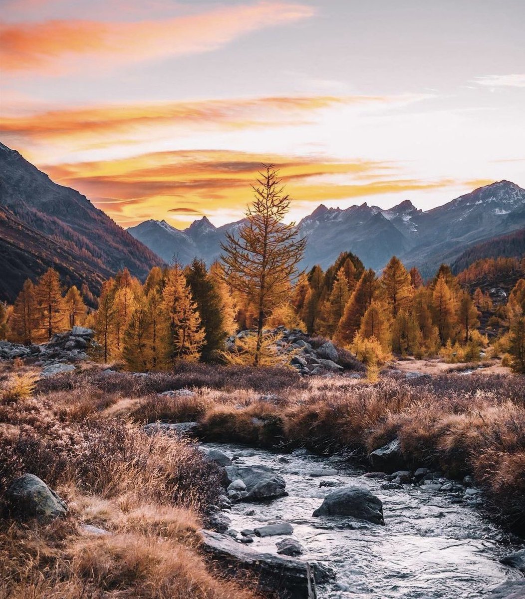 #lötschental #Herbst #colorful