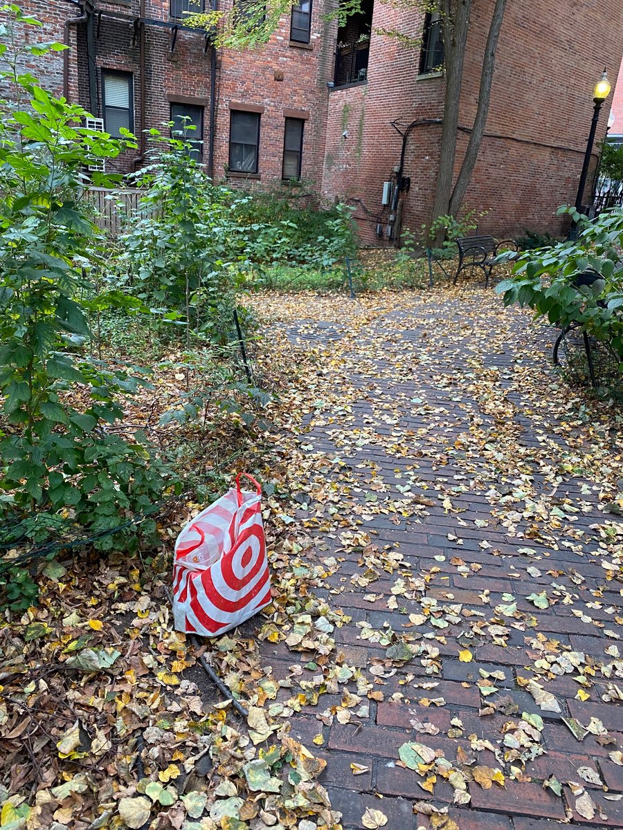 AdamCWebster's tweet photo. Out on a walk this AM w/my 4-year old to look at Halloween decorations &amp; we walked through Watson Park. My son, who calls Target 'the red toy store': Dada, look! A bag from the red toy store." I told him not to touch. I looked in and there were 15-20 needles #boston #southend https://t.co/tCpoy5WAHO