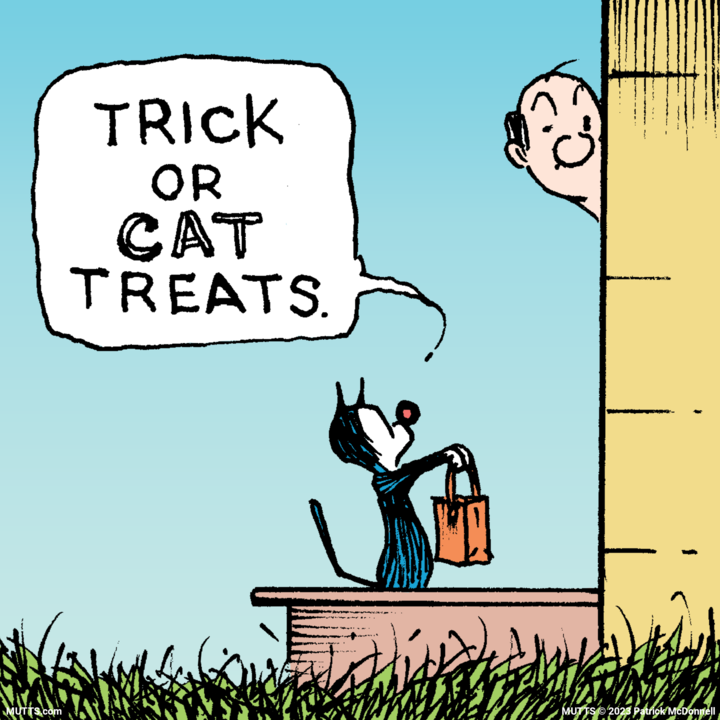 Happy World Cat Day! Today, give your kitty an extra treat or snuggle from us (and Mooch).