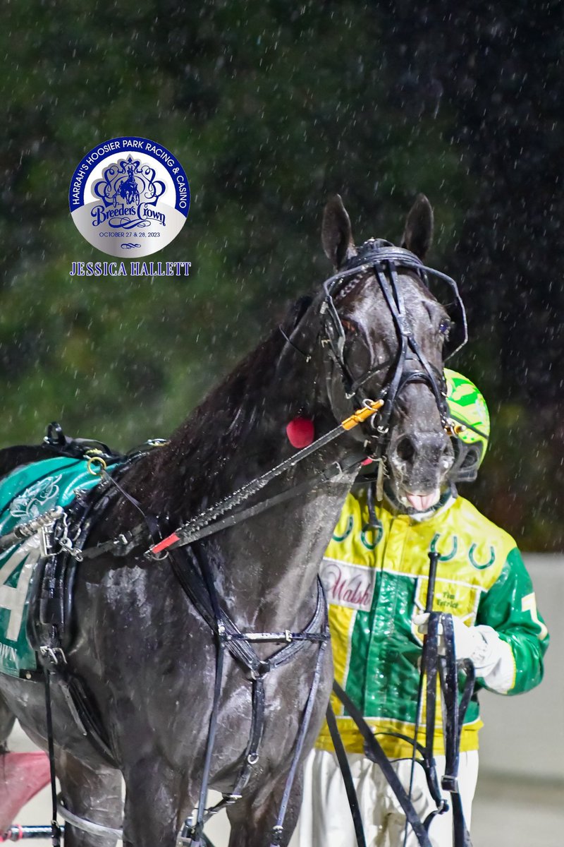 When the rain tastes as good as the victory 😛 

Confederate // @TR_Harness 

#crown2023 #crown23