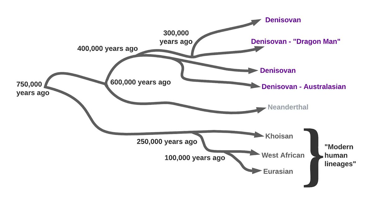 Here be humans razibkhan.com/p/here-be-huma… We're not the man we used to be. Over the last twenty years, genomics, ancient DNA and paleoanthropology have joined forces to completely overhaul our understanding of the origin of our species. The true diversity and complexity of human