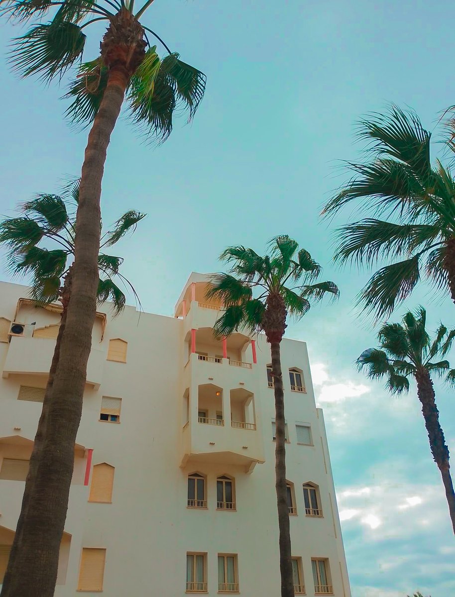 MovieBox Premiere tweet media