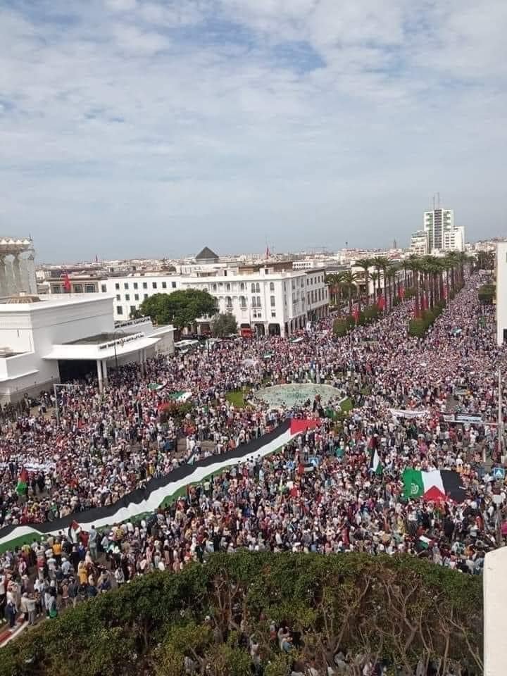 PalestineCultu1's tweet photo. Morocco for Palestine✌️🇵🇸 https://t.co/B6aj1NCCjv