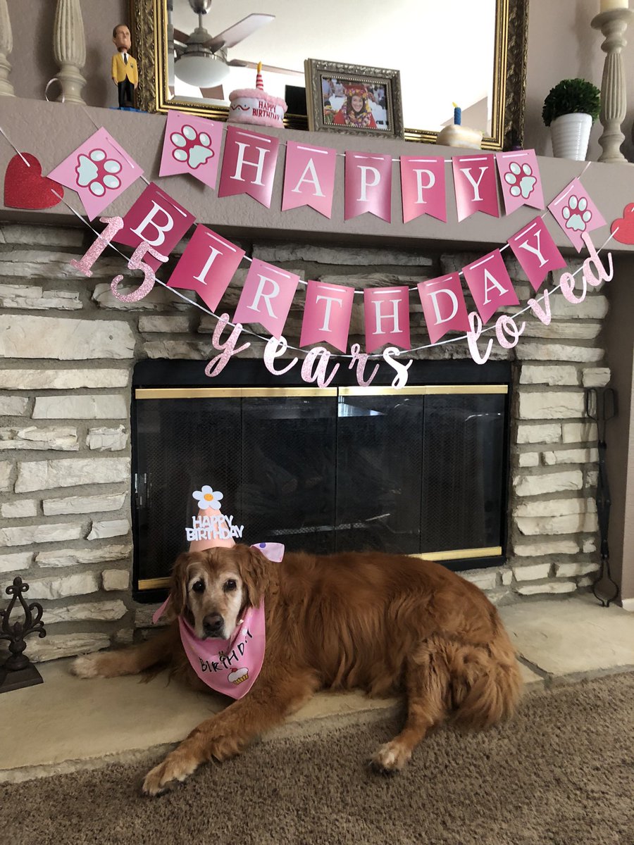 Although Maui’s actual birthday is tomorrow, we will be celebrating her 15th birthday today. Both her sisters (one from LA and the other from Hawaii) will be here this afternoon. We are very excited!
#Happybirthday #seniordogs #dogsoftwitter #goldenretrievers
#goldenlove