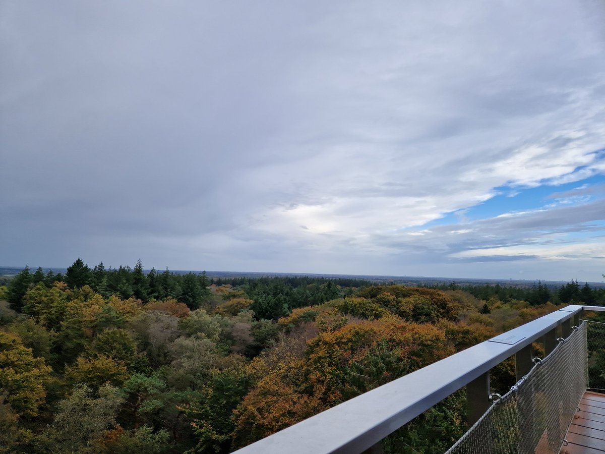 Enjoying the view after a good climb. #family #Woods #nature #fy