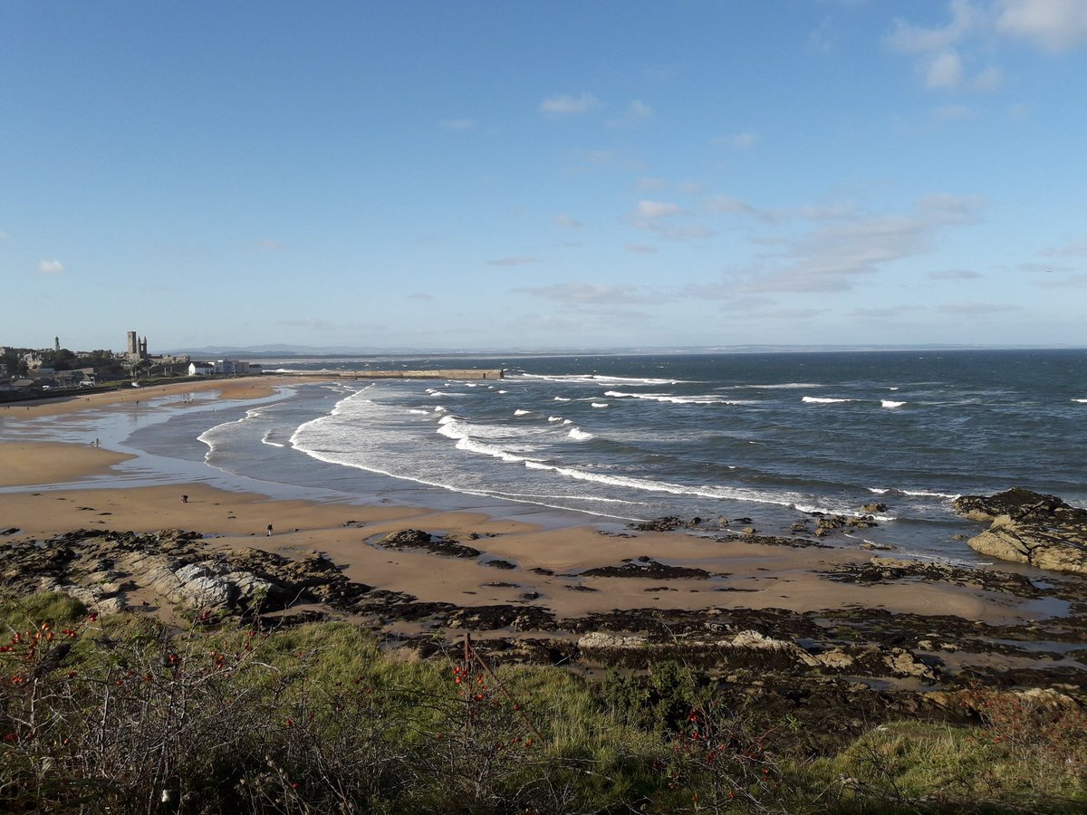 PhD opportunity to join our lab in beautiful St Andrews. A fully funded EASTBIO scholarship to dissect the role of rare variants in language-related conditions findaphd.com/phds/project/e…