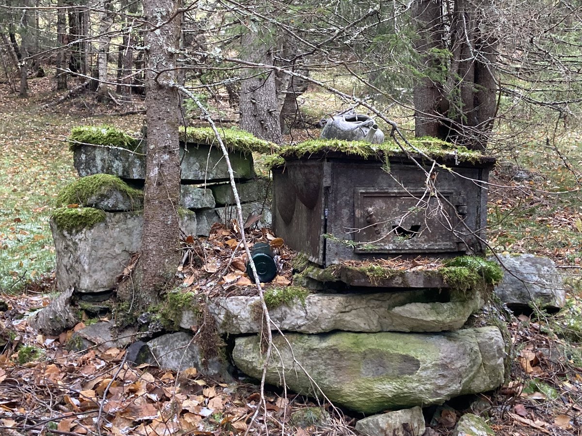 fjellshepherd's tweet photo. The ghosts of farms past still haunt the forest. https://t.co/zJHWfbCy8H