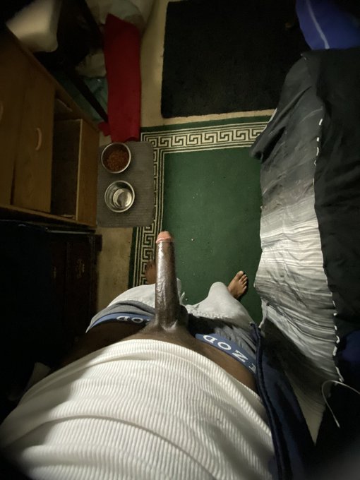 Morning dick🙂 https://t.co/A3WIVZiRkI<a href="/tag/freeball"class="tags"><span>#freeball</span></a><a href="/tag/minidickmonday"class="tags"><span>#minidickmonday</span></a>