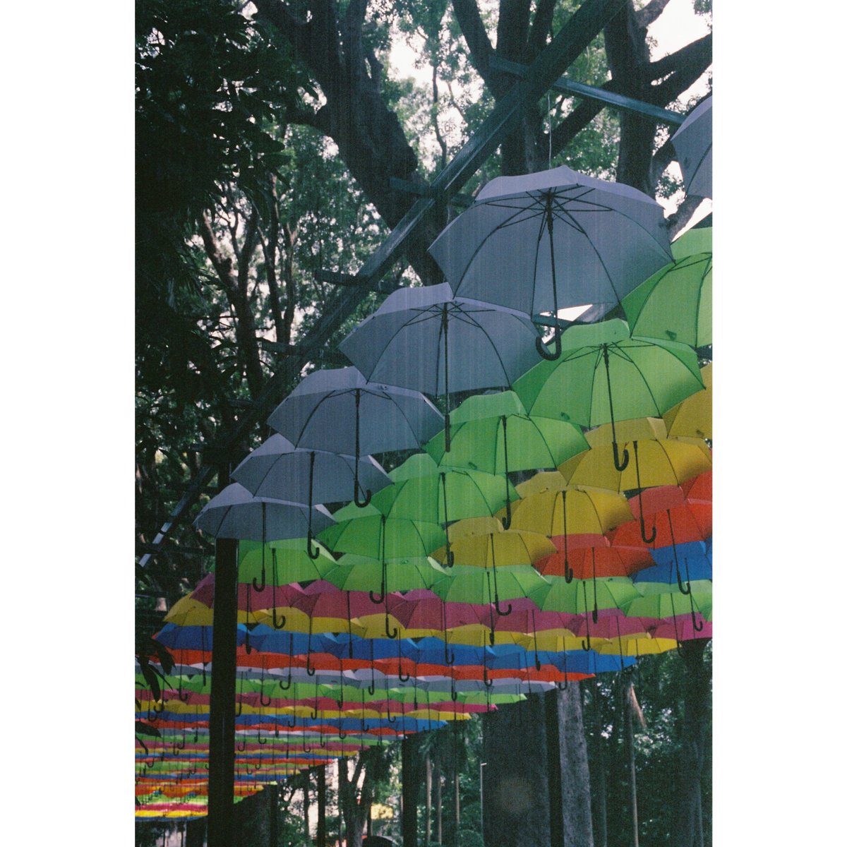 4ever2wander's tweet photo. Saigon 2023
.
.
.
.
.
#filmphotography #filmisntdead #film #canonae1 #canonphotography #35mm #city #saigon #travel #vacation #streetphotography #vietnam #travelphotography https://t.co/5QChujJOYi