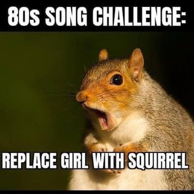 I❤️Nostalgia '𝕏' tweet media