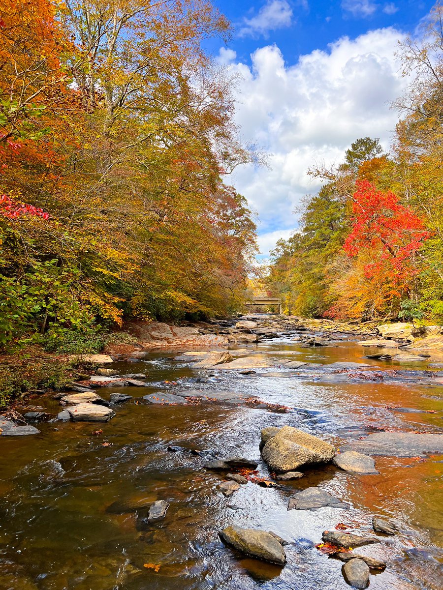 Windows wallpaper 🍁🍂❤️