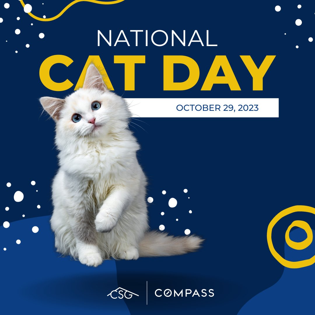 VashonLiving's tweet photo. This goes out to my daughter's cats "Penny &amp; Pepper" &amp; @sarablukies
.
.
.
.
#vashonislandliving #vashonisland #vashonlife #vashonrealestate #compasseverywhere #ConnieSorensen #SaraPeterson #RealEstate #Compass #conniesorensengroup https://t.co/YjiCQJknn3