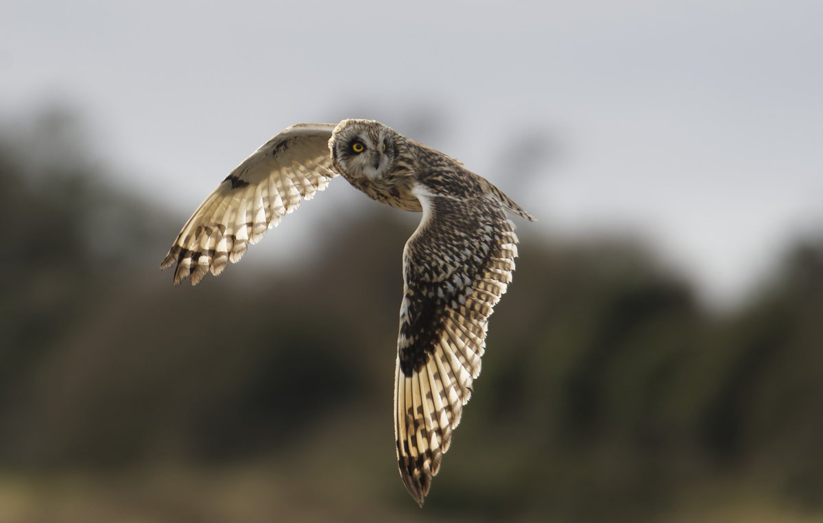 Fergal Stanley tweet media