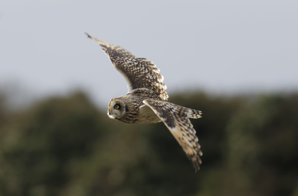 Fergal Stanley tweet media