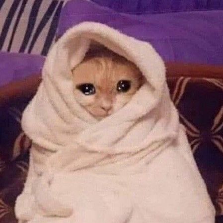 thatnerdviolet's tweet image. I don’t wanna girl boss anymore. I wanna girl game, girl nap, and girl scream.