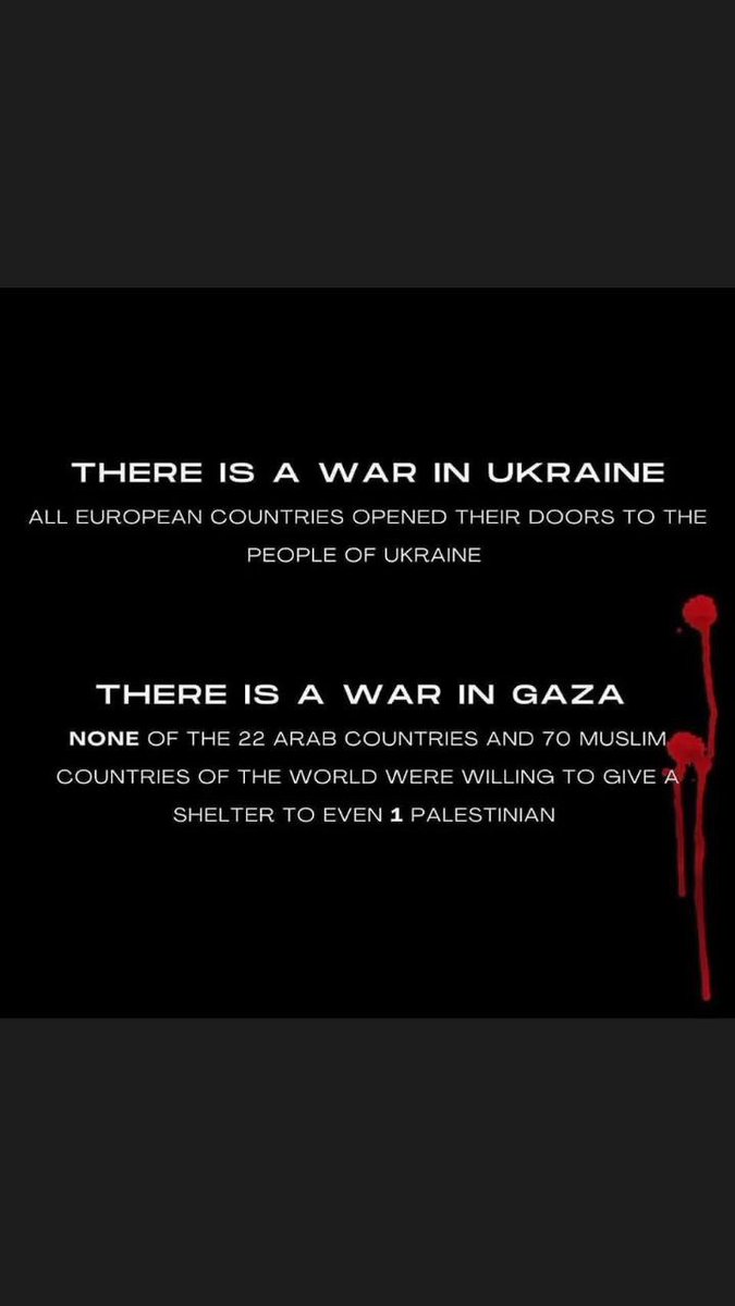 VisionMarket1ng's tweet photo. @usamach367 @IDF STFU, no Muslims stand with palestine https://t.co/crwC4CgsSZ