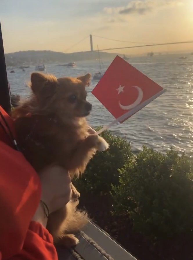 laik atak geçiren köpkeler de vardır ♾️❤️