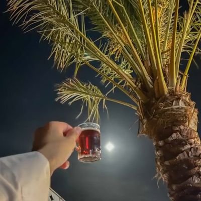 Mertcan Özkurt tweet media