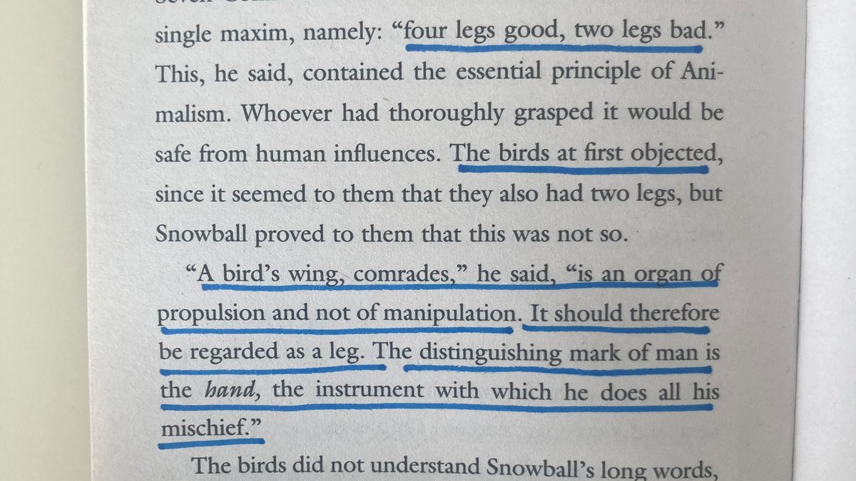 patrícia alves-oliveira tweet media