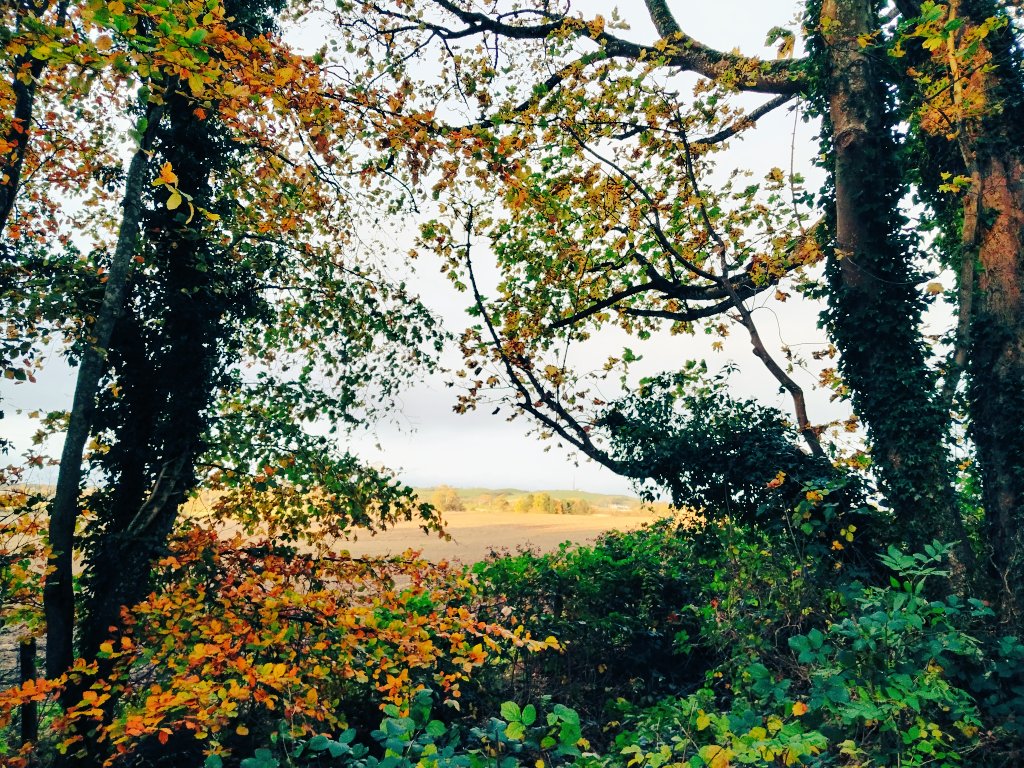 Oh the seasons, they are a changing🍁