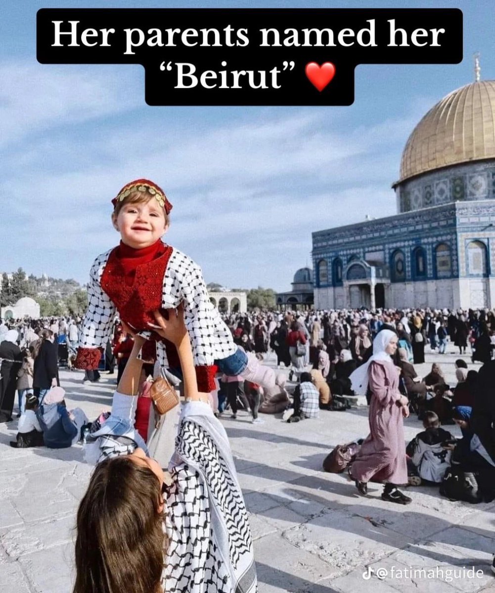 سموها 'بيروت' تضامناً مع أهل لبنان بعد إنفجار 'مرفأ بيروت'.

واليوم استشهدت 'بيروت' في قصف طائرات الاحتلال الإسرائيلى على منزلها في غزة 💔