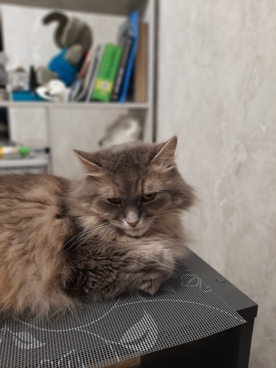 Anna Pavlova (@annapav70019836) on Twitter photo 