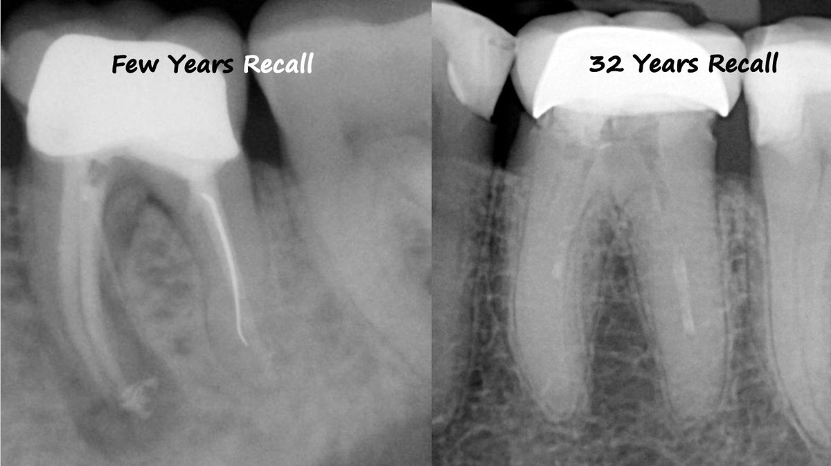 Prof Ahmad Madarati tweet media