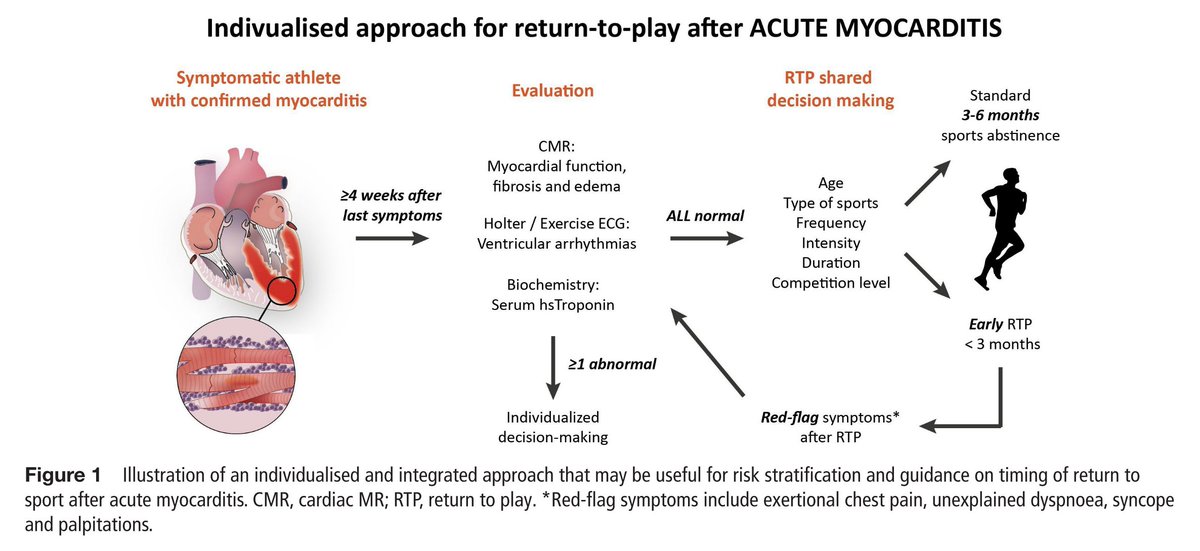 Juan Quiles (@juanquiles) on Twitter photo Vuelta al deporte tras miocarditis. ¿3-6 meses para todos o recomendaciones individualizadas?
En este comentario editorial de <a href="/guido_claessen/">Guido Claessen</a> en <a href="/BJSM_BMJ/">British Journal of Sports Medicine (BJSM)</a> se propone una vuelta precoz tras estudio a las 4 semanas sin síntomas con RNM y Holter/P. esfuerzo.
doi.org/10.1136/bjspor… Vuelta al deporte tras miocarditis. ¿3-6 meses para todos o recomendaciones individualizadas?
En este comentario editorial de <a href="/guido_claessen/">Guido Claessen</a> en <a href="/BJSM_BMJ/">British Journal of Sports Medicine (BJSM)</a> se propone una vuelta precoz tras estudio a las 4 semanas sin síntomas con RNM y Holter/P. esfuerzo.
doi.org/10.1136/bjspor…
