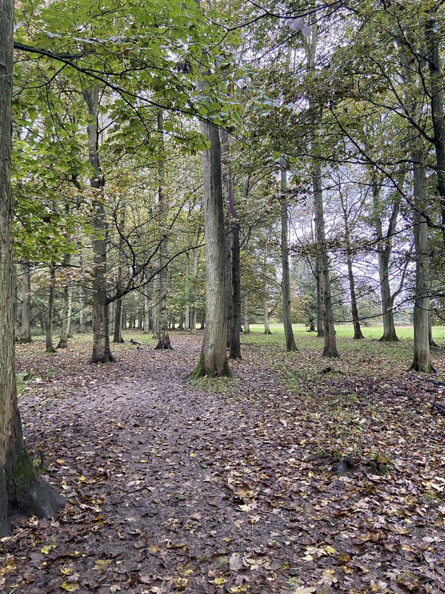 Charlotte Robinson tweet media